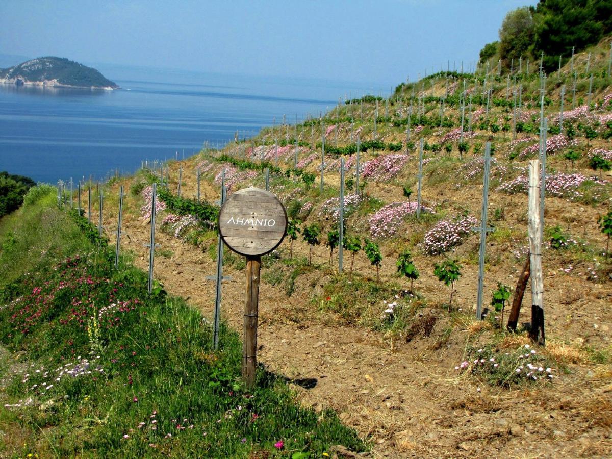 Porto Carras Meliton Hotel Neos Marmaras Exterior photo A vineyard in Elba
